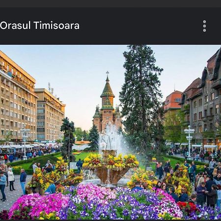 Apartament Lux Crialy - 75 M2 - Free Parking Timisoara Exterior photo